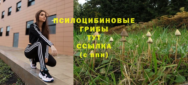 a pvp Тайга