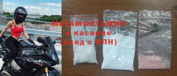 индика Ельня