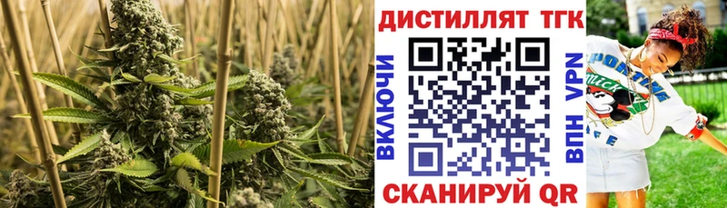 МЕГА   Городовиковск  Дистиллят ТГК жижа 