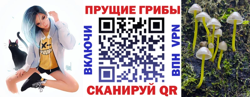 цена наркотик  Городовиковск  Галлюциногенные грибы MAGIC MUSHROOMS 